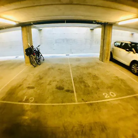 塞莱斯特之家公寓 公寓