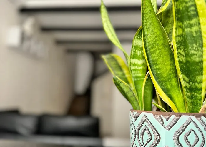 Lejlighed Celeste's House Firenze