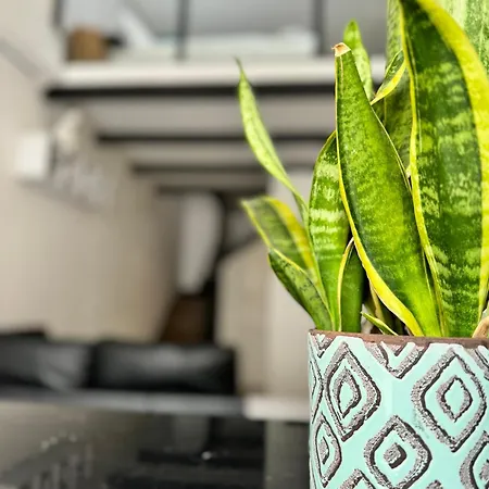 דירה Celeste's House פירנצה